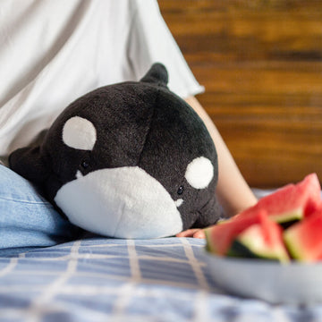 Chubby Orcinus Orca Plush Stuffed Toys Killer Whale Plushie Pillow